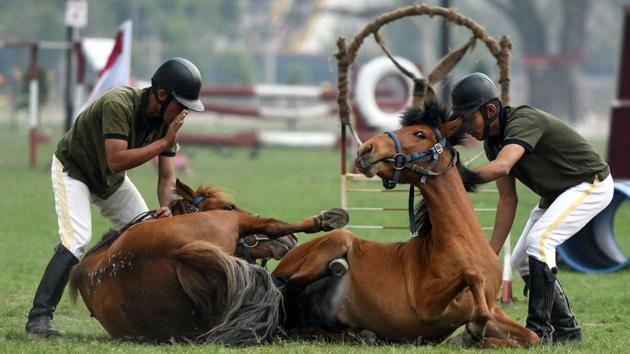 Nepali soldiers make horses perform as they take part in the Ghode Jatra. On the day of the festival, the uniformed riders raced the horses on tracks, and showed off skills like picking up objects with spears while riding at high speeds. Meanwhile, the most powerful members of Nepal’s government and foreign diplomats cheered them. (Prakash Mathema / AFP) Nepali soldiers make horses perform as they take part in the Ghode Jatra. On the day of the festival, the uniformed riders raced the horses on tracks, and showed off skills like picking up objects with spears while riding at high speeds. Meanwhile, the most powerful members of Nepal’s government and foreign diplomats cheered them. (Prakash Mathema / AFP)