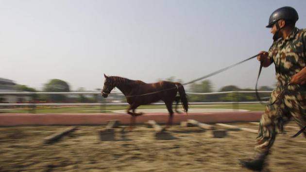 A Nepalese army soldier trains his horse for Ghoda Jastra, a few days prior to the festival in Kathmandu. Soldiers race the horses and show off warfare techniques believed to keep devil spirits away through the pounding of the horses’ hooves. (Niranjan Shrestha / AP) A Nepalese army soldier trains his horse for Ghoda Jastra, a few days prior to the festival in Kathmandu. Soldiers race the horses and show off warfare techniques believed to keep devil spirits away through the pounding of the horses’ hooves. (Niranjan Shrestha / AP)