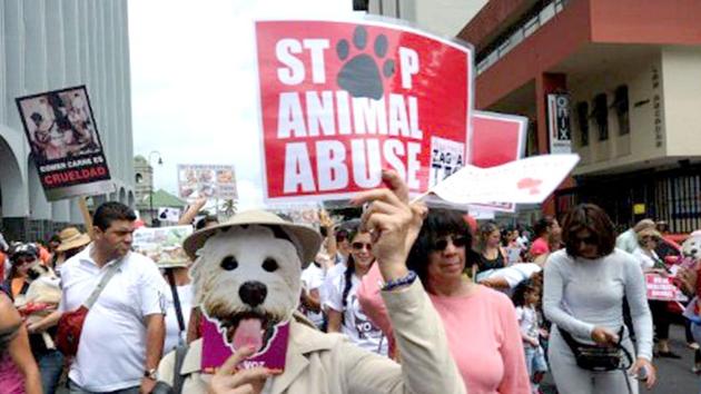 More than 20 city-based animal rights activists, including Joshi, had protested outside the Sector 50 police station on Sunday afternoon, demanding an FIR against the RWA. (AFP File Photo) More than 20 city-based animal rights activists, including Joshi, had protested outside the Sector 50 police station on Sunday afternoon, demanding an FIR against the RWA. (AFP File Photo)