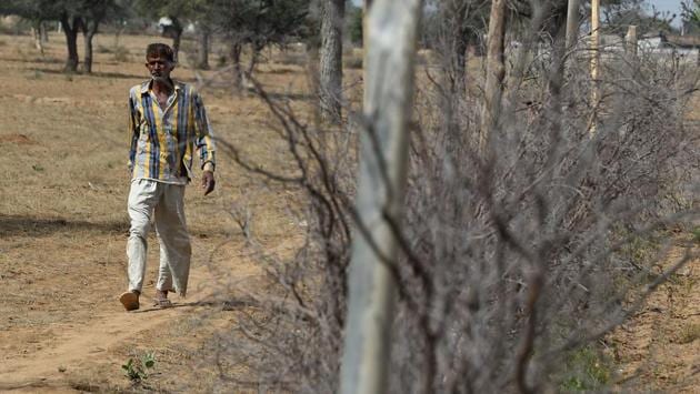 A farmer walks besides a fence put up to keep stray cattle out. Ahead of elections beginning April 11, one Hindu farmer Raghuvir Singh Meena said that the government is playing their politics; they don’t care about poor farmers. Critics warn that the BJP has emboldened fringe Hindu vigilante groups to attack minority Muslims and low-caste Dalits with impunity for eating beef, slaughtering and trading in cattle. (Abhaya Srivastava / AFP) A farmer walks besides a fence put up to keep stray cattle out. Ahead of elections beginning April 11, one Hindu farmer Raghuvir Singh Meena said that the government is playing their politics; they don’t care about poor farmers. Critics warn that the BJP has emboldened fringe Hindu vigilante groups to attack minority Muslims and low-caste Dalits with impunity for eating beef, slaughtering and trading in cattle. (Abhaya Srivastava / AFP)