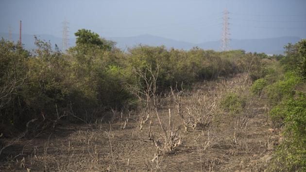 A response to a right to information (RTI) query has revealed that the Jawaharlal Nehru Port Trust (JNPT) had no mining permission to reclaim a 400-acre wetland in Uran, Navi Mumbai, where it has been dumping soil and debris illegally. (Pratik Chorge/HT Photo) A response to a right to information (RTI) query has revealed that the Jawaharlal Nehru Port Trust (JNPT) had no mining permission to reclaim a 400-acre wetland in Uran, Navi Mumbai, where it has been dumping soil and debris illegally. (Pratik Chorge/HT Photo)