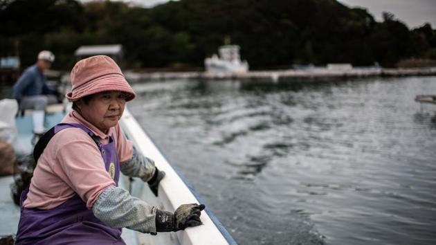 After several setbacks -- including a bacterial virus that decimated his crop -- Mikimoto finally hit jackpot: one day in July 1893 a semi-spherical pearl appeared, clinging to the oyster. A decade or so later, he had refined his method to produce a perfectly round specimen and immediately patented his technique -- the cultured pearl. (Martin Bureau / AFP)