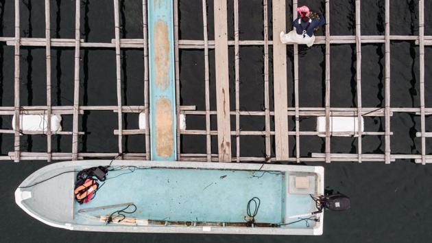 A farmer removes a net of oysters. The delicate operation rests of the insertion of a nucleus -- a small round polished ball made out of shellfish -- and the “graft”, a piece of donor mantle tissue from another oyster. Over a period of several months, the oyster reacts to the foreign bodies by secreting nacre which forms the pearl. (Martin Bureau / AFP)