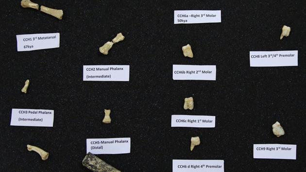 The new species, Homo luzonensis is named after Luzon Island, where the more than 50,000 year old fossils were found during excavations at Callao Cave.(AP) The new species, Homo luzonensis is named after Luzon Island, where the more than 50,000 year old fossils were found during excavations at Callao Cave.(AP)