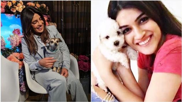 Priyanka Chopra, Kriti Sanon shares adorable pictures with their furry ...