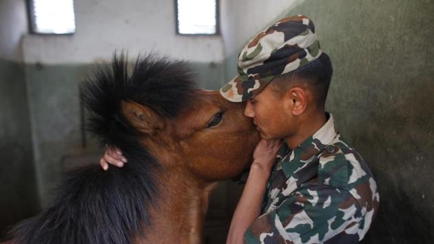 A Nepalese army soldier bonds with a horse at the Nepal cavalry stable before the Ghode Jatra festival in Kathmandu, Nepal. (Niranjan Shrestha / AP) 