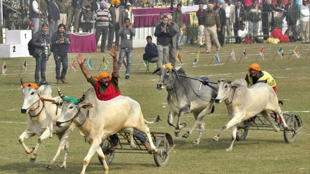 A file photo Kila Raipur Rural Sports Festival in Ludhiana.(HT File Photo) A file photo Kila Raipur Rural Sports Festival in Ludhiana.(HT File Photo)