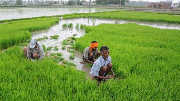 In the last few years, gross NPAs of banks as a percentage of total loans have increased from nearly 2 per cent of total loans in 2008 to nearly 10 per cent in 2017. (PTI FILE PHOTO) In the last few years, gross NPAs of banks as a percentage of total loans have increased from nearly 2 per cent of total loans in 2008 to nearly 10 per cent in 2017. (PTI FILE PHOTO)