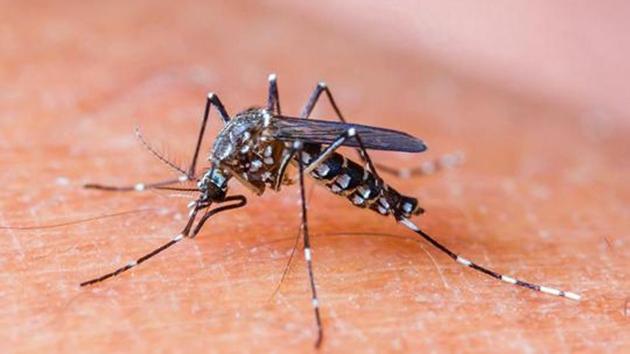 Owners of places where mosquito breeding is found to be penalised