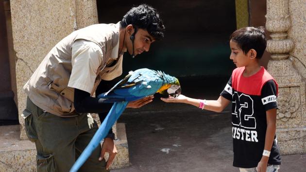 A child interacts with a blue-and-yellow macaw at Essel World Bird Park, Gorai in Mumbai, Maharashtra. (Pramod Thakur / HT Photo) A child interacts with a blue-and-yellow macaw at Essel World Bird Park, Gorai in Mumbai, Maharashtra. (Pramod Thakur / HT Photo)