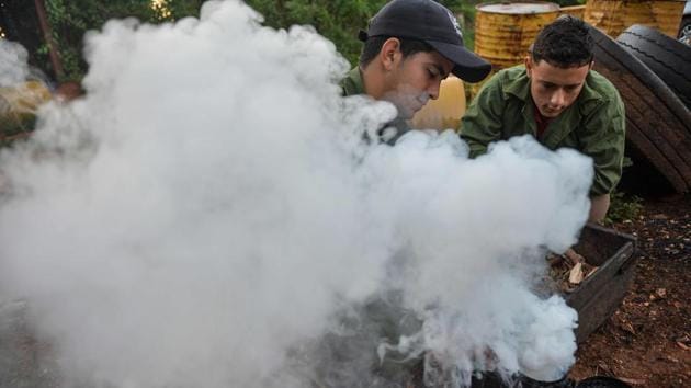 Beekeepers prepare their bee smoker. Environmental integrity dates back to Cuba’s economic crisis of the 1990s, following the Soviet collapse, cutting pesticide, fertilizer and herbicide aid. Deprived, Cuba had to develop natural alternatives. In the process, it reduced to almost zero the use of chemicals, harmful to bee populations and the quality of honey. (Yamil Lage / AFP)