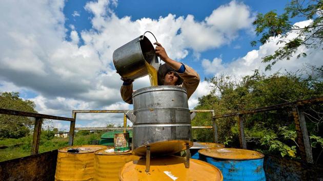 A beekeeper pours honey into a metal container. Of the total 8,834 tonnes produced last year in Cuba, around 1,900 tonnes of Cuba’s honey have been certified as organic honey, a “national record” said Dayron Alvarez, the director of technology and development at Apicuba. (Yamil Lage / AFP)