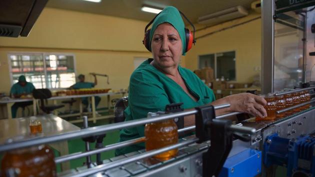 An employee controls honey jars at the production line of a honey packaging plant in Havana. Almost every drop is exported, with Germany, France, Spain, Britain and Switzerland the main markets worth $18 million in 2017. And there’s likely more to come: “We are working on entering the Chinese and Saudi markets,” said Alvarez. (Yamil Lage / AFP)