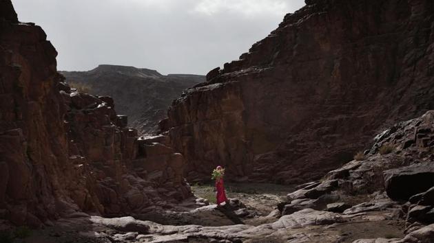 During the two-day tour, the group hiked across an endlessly broad landscape of mountain peaks and valleys of dry riverbeds. While male Bedouin guides range far from home, the women tend to move closer, with an exceptionally rich knowledge of the surrounding mountains. The guides talked about the local plants and herbs, the history and legends of the area and pointed out the borders of the area’s tribes. (Nariman El-Mofty / AP) 