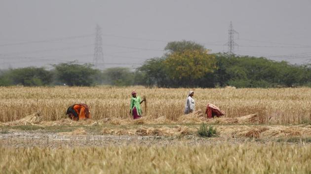 A view of Nuh district, near Gurugram. The Gurugarm district still retains almost 44 per cent of its rural area. (Yogendra Kumar/HT PHOTO) A view of Nuh district, near Gurugram. The Gurugarm district still retains almost 44 per cent of its rural area. (Yogendra Kumar/HT PHOTO)