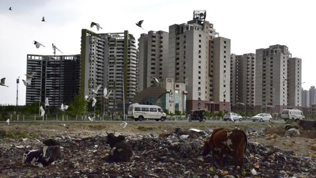 Cattle seen at the site of a garbage dump, at sector 100, in Noida (Virendra Singh Gosain/HT PHOTO) Cattle seen at the site of a garbage dump, at sector 100, in Noida (Virendra Singh Gosain/HT PHOTO)