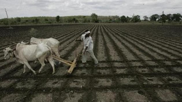 Farmers Suicide - Manmohan Singh Tour to Vidarbha - Agriculture - Fields - Farmer - Plough - Bajirao Kadsakhe at Wardha - HT Photo by 01-07-06(Rajanish Kakade/ HT FILE Photo)