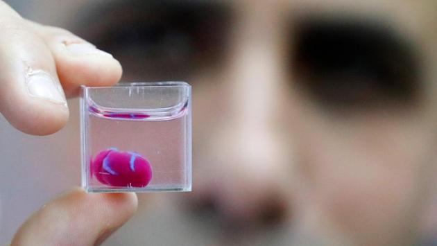A 3D print of heart with human tissue seen at the University of Tel Aviv, Israel. Scientists in Israel have unveiled a 3D print of a heart with human tissue and vessels, calling it a first and a “major medical breakthrough” that advances possibilities for transplants. (Jack Guez / AFP) 