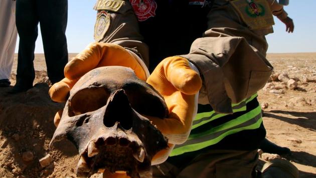 An Iraqi member of the Civil Defense shows a human skull from an unearthed mass grave of Kurds in west of the city of Samawa, Iraq. (Essam al-Sudani / REUTERS) 