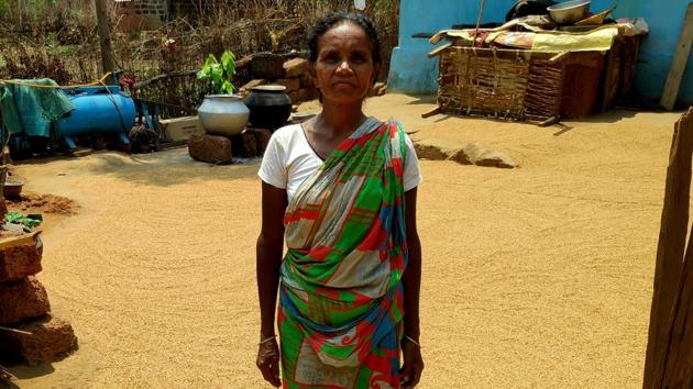 A villager, Padmabati Mahanta, drying the harvested paddy outside her home in Patakhali village.(HT photo)