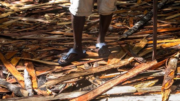 A significant amount of wood chips left by precious wood cutters in the Vohibola forest. Other damage to Vohibola and its natural population is being inflicted by the simple need for wood for cooking. The forest patrol frequently encounters the dismaying sight of empty spaces and mounds of bark -- the traces of illegal logging, burn them and sell the charcoal to Madagascans. They take rare woods such as ebony and use it to make charcoal. (Rijasolo / AFP)
