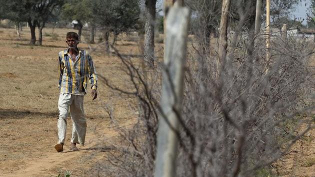 At least 50 farmers in Telangana’s Nizamabad district are planning to file their nominations against Prime Minister Narendra Modi in Uttar Pradesh’s Varanasi(Representative Image/AFP File Photo)