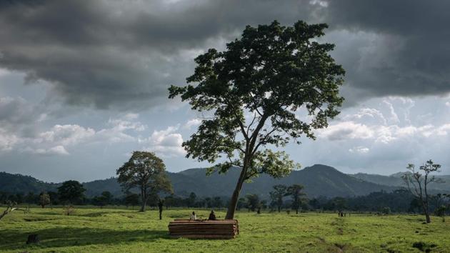 Two children sit on a pile of wooden boards on a farm near Kitshanga in the Masisi Territory, North Kivu province, eastern DR Congo. (Alexis Huguet / AFP) Two children sit on a pile of wooden boards on a farm near Kitshanga in the Masisi Territory, North Kivu province, eastern DR Congo. (Alexis Huguet / AFP)