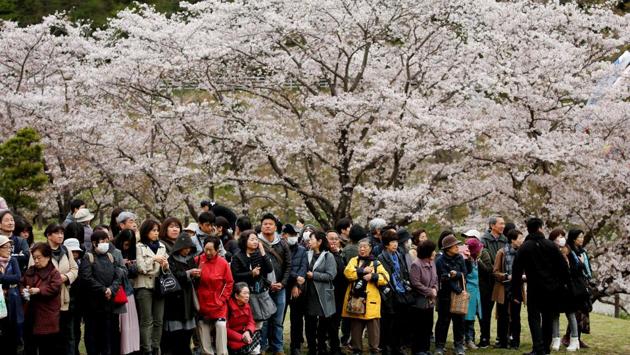 Shirataki (in yellow), her friends and well-wishers wait for arrival of Japan's Emperor Akihito and Empress Michiko in front of cherry blossoms in full bloom at Kodomonokuni in Yokohama. “There could be a lot of times where Masako won’t go with the emperor,” she said. “If it’s just him, we won’t go. Her alone? Yes.” (Issei Kato / REUTERS) Shirataki (in yellow), her friends and well-wishers wait for arrival of Japan's Emperor Akihito and Empress Michiko in front of cherry blossoms in full bloom at Kodomonokuni in Yokohama. “There could be a lot of times where Masako won’t go with the emperor,” she said. “If it’s just him, we won’t go. Her alone? Yes.” (Issei Kato / REUTERS)