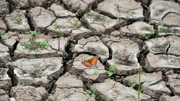 More than 20,000 villages were declared drought-hit in November last year and the state government extended a slew of concessions and tax rebate to the villagers. (AFP) More than 20,000 villages were declared drought-hit in November last year and the state government extended a slew of concessions and tax rebate to the villagers. (AFP)