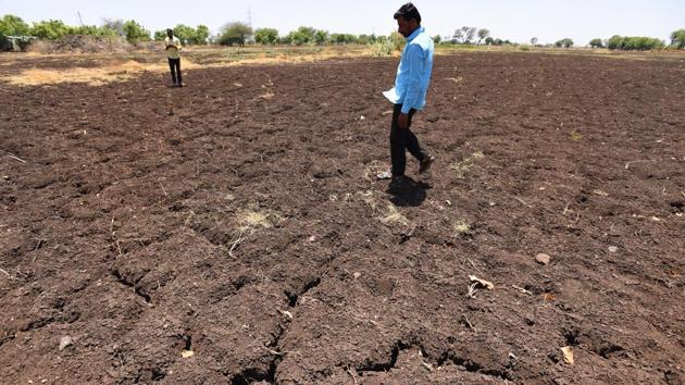 Part of the solution to the agrarian crisis may lie in radical agricultural reform. For instance, where is the focus on water-use in a country where almost half of the are under crops depends on monsoon rains?(Vijayanand Gupta/Hindustan Times)