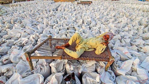 State agencies are expecting 132 lakh tonnes to arrive for procurement and the entire crop is expected to reach mandis in next ten days.(HT Photo)