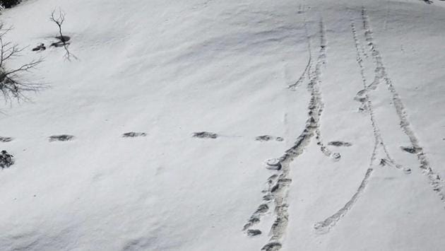 The Indian Army tweeted to say that one of its mountaineering expeditions in eastern Nepal has come across the footprints of the Yeti or the abominable snowman mentioned in Nepalese folklore. The pictures of the “mysterious footprints” measuring 32x15 inches posted on Twitter by the army. (Twitter / PTI) The Indian Army tweeted to say that one of its mountaineering expeditions in eastern Nepal has come across the footprints of the Yeti or the abominable snowman mentioned in Nepalese folklore. The pictures of the “mysterious footprints” measuring 32x15 inches posted on Twitter by the army. (Twitter / PTI)