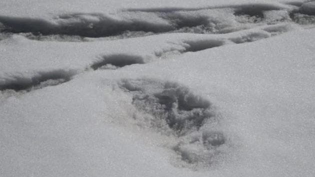 In a tweet, accompanied by a photo of the expedition team and three photos of footprints in the snow, the Indian Army on Monday night said it had sighted “Mysterious Footprints of mythical beast ‘Yeti’.(Twitter/ ADGPI)