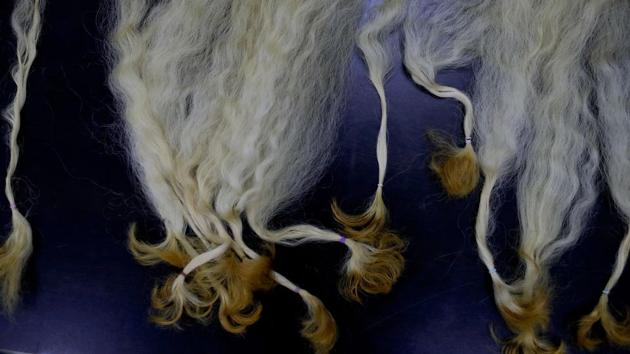 Natural hair that was sold for money and then bleached, sits on a table at a beauty salon in Caracas. Increasing numbers of women in poor neighbourhoods are selling their hair for use in wigs and extensions as the demands of daily survival force them to abandon the kind of self-care long an obsession with a country known globally for its success in beauty pageants. (Natacha Pisarenko / AP) Natural hair that was sold for money and then bleached, sits on a table at a beauty salon in Caracas. Increasing numbers of women in poor neighbourhoods are selling their hair for use in wigs and extensions as the demands of daily survival force them to abandon the kind of self-care long an obsession with a country known globally for its success in beauty pageants. (Natacha Pisarenko / AP)