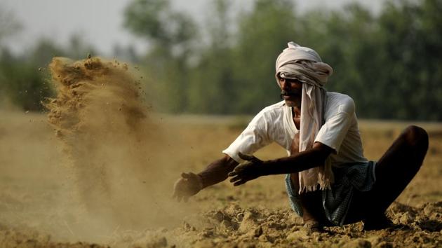 In India, farmers cannot be expected to know which varieties are being registered under the PPV&FR Act(Deepak Gupta/Hindustan Times) In India, farmers cannot be expected to know which varieties are being registered under the PPV&FR Act(Deepak Gupta/Hindustan Times)