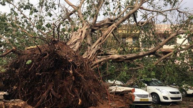 Cars are damaged by an uprooted tree in a residential area following Cyclone Fani. A day after cyclonic storm ‘Fani’ ravaged parts of Odisha, killing at least 12 people, a massive restoration and relief work was launched on war-footing Saturday across 10,000 villages and urban areas. (Jatindra Dash / REUTERS) Cars are damaged by an uprooted tree in a residential area following Cyclone Fani. A day after cyclonic storm ‘Fani’ ravaged parts of Odisha, killing at least 12 people, a massive restoration and relief work was launched on war-footing Saturday across 10,000 villages and urban areas. (Jatindra Dash / REUTERS)