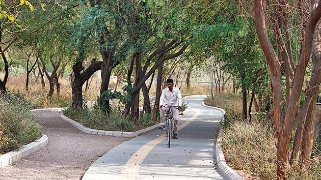 For cyclists and pedestrians travelling from Chakkarpur to Wazirabad, the cycle tracks and paths built along the bundh offer an alternative mobility route that’s safer.(Yogendra Kumar/HT PHOTO)