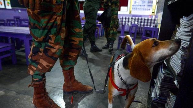 Sri Lankan bomb disposal squad officers use a sniffer dog to check for explosives at a school in Colombo. “Until we are certain about the security situation outside we will not send the child to school,” Dissanayake said. (Ishara S. Kodikara / AFP) Sri Lankan bomb disposal squad officers use a sniffer dog to check for explosives at a school in Colombo. “Until we are certain about the security situation outside we will not send the child to school,” Dissanayake said. (Ishara S. Kodikara / AFP)