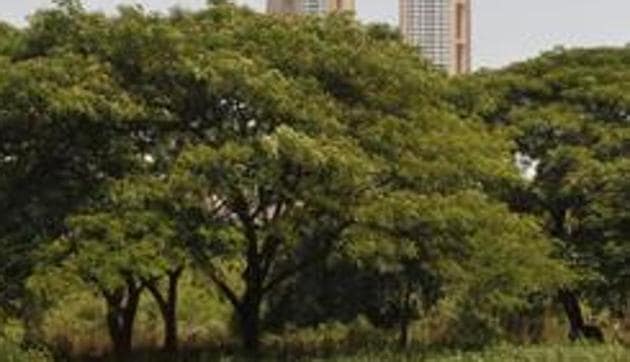 North MCD ordered to donate 20 footballs, plant 100 trees (Hindustan Times) North MCD ordered to donate 20 footballs, plant 100 trees (Hindustan Times)