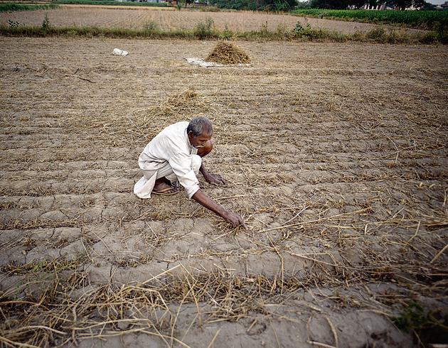 The urban expanse of the national capital has left little land for the tillers who are faced with the proposition of either selling their land to make way for concrete buildings or wage a battle for identity and survival.(Biplov Bhuyan/HT PHOTO)