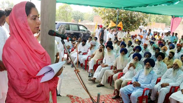 SAD Candidate from Bathinda Lok Sabha seat Harsimrat Kaur Badal addressing an election rally in Shekh Pura village in Talwandi Sabo district of Bathinda.(Sanjeev Kumar / HT Photo)