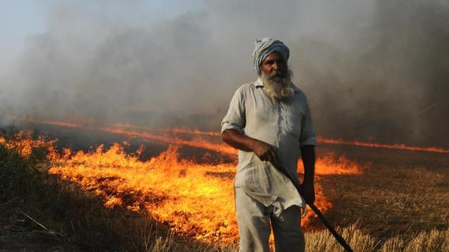 A farmer burns stubble in his field on the outskirts of Sangrur district, Punjab, Wednesday, May 08, 2019. (Bharat Bhushan / HT Photo) A farmer burns stubble in his field on the outskirts of Sangrur district, Punjab, Wednesday, May 08, 2019. (Bharat Bhushan / HT Photo)
