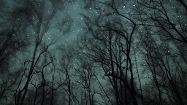 Stars in the night sky above Shwe Settaw Sanctuary in Magway Region, Myanmar. (Ye Aug Thu / AFP) Stars in the night sky above Shwe Settaw Sanctuary in Magway Region, Myanmar. (Ye Aug Thu / AFP)