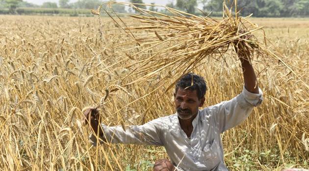 All seats face an agricultural crisis and widespread migration of the youth.(Arvind Yadav/ Hindustan Times)