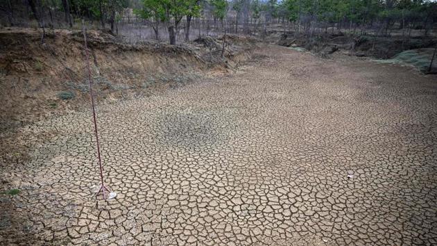 The dried bed of a lake in the reserve. This year, the temperatures in the sanctuary have soared to a record 47 degrees centigrade. The sanctuary’s 20-odd lakes and ponds -a lifeline for the deer, wild boar, jackals, peacocks and other creatures -- have all dried up. (Ye Aung Thu / AFP)