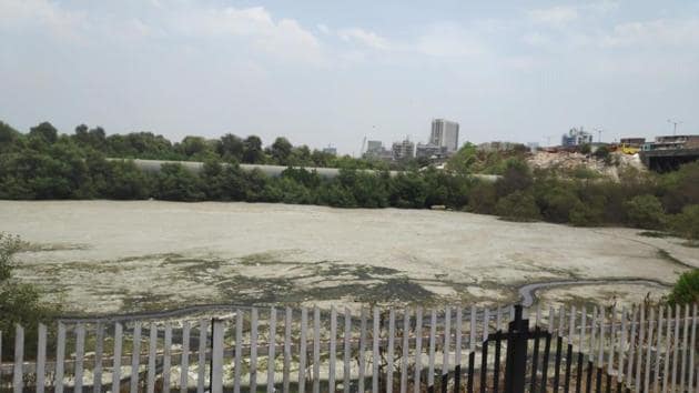 Toxic foam has started forming on the surface of Mahim creek(HT Photo)