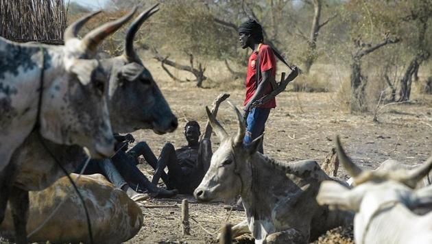 A man carrying a gun stands next to a cattle at Kirgui village in Udier town, on March 9, 2019.(AFP photo) A man carrying a gun stands next to a cattle at Kirgui village in Udier town, on March 9, 2019.(AFP photo)