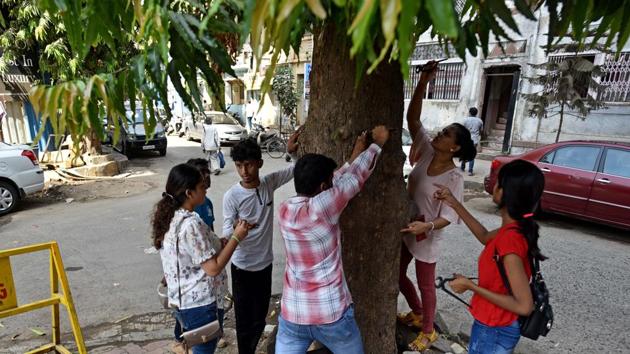 People removing nails from trees at DL Vidya Road,Dadar in Mumbai,, on Sunday, May 12, 2019.(Satyabrata Tripathy/HT Photo) People removing nails from trees at DL Vidya Road,Dadar in Mumbai,, on Sunday, May 12, 2019.(Satyabrata Tripathy/HT Photo)
