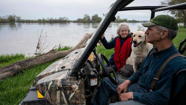 Clare and Gayle Duda, corn and soy farmers in nearby Ponca Hills, said they were facing a similar situation. “We planted 300 acres and we were only able to harvest five acres,” or just two hectares, said Clare, adding that losses were hard to bear without revenue to make up for the investment in the crop. Due to the floods the soil gets saturated and whole of the planting process is hampered. (Johannes Eisele / AFP) Clare and Gayle Duda, corn and soy farmers in nearby Ponca Hills, said they were facing a similar situation. “We planted 300 acres and we were only able to harvest five acres,” or just two hectares, said Clare, adding that losses were hard to bear without revenue to make up for the investment in the crop. Due to the floods the soil gets saturated and whole of the planting process is hampered. (Johannes Eisele / AFP)