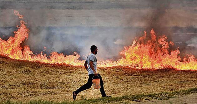 A man runs with a bucket of water as farmers burn stubble in a wheat field in Rohtak. Despite a ban on it, stubble burning is still practised. (Burhaan Kinu / HT PHOTO) A man runs with a bucket of water as farmers burn stubble in a wheat field in Rohtak. Despite a ban on it, stubble burning is still practised. (Burhaan Kinu / HT PHOTO)